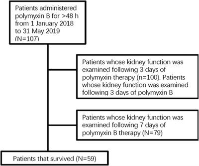 Effectiveness and Nephrotoxicity of Intravenous Polymyxin B in Chinese Patients With MDR and XDR Nosocomial Pneumonia